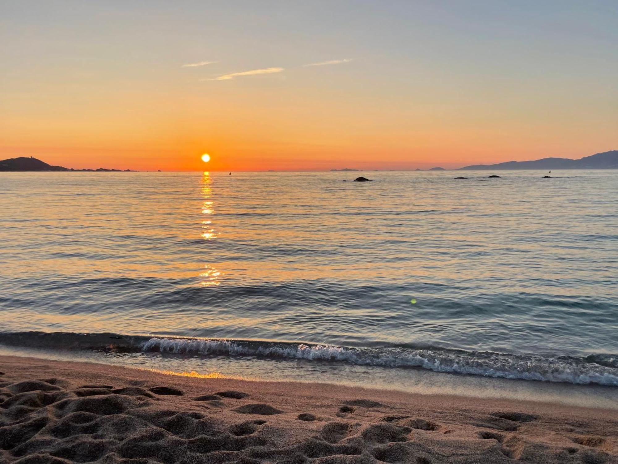 T2 Vue Mer - Entree De Ville Ajaccio  Eksteriør billede